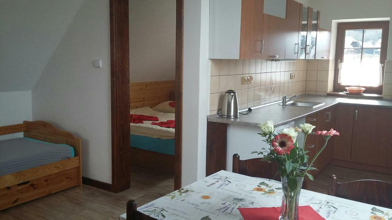 Apartment Nedrik Rokytnice nad Jizerou Exterior photo
